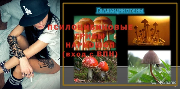 амф Богданович