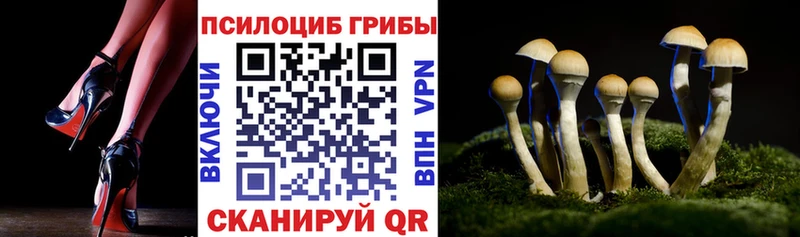 Галлюциногенные грибы MAGIC MUSHROOMS  купить закладку  ОМГ ОМГ tor  Каневская 